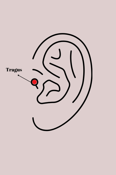 316L Çelik Gümüş Renk Zirkon Taş Detay Pembe Kalp İşleme Tragus Piercing 5886