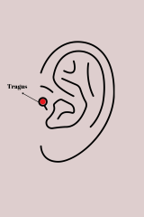 316L Çelik Gümüş Renk Zirkon Taşlı Tragus Piercing 5886