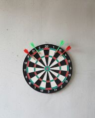 17 İnç Profesyonel Dart Tahtası Dayanıklı Yapı ve 4 Metal Dart Oku