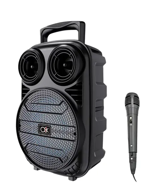 Bluetooth Taşınabilir Karaoke Hoparlör 6.5 İnç Mikrofonlu RGB Işıklı USB TF Kart Destekli