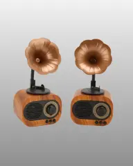 Kablosuz Retro Radyo Hoparlör 5W Güçlü Ses USB Hafıza Kart Destekli Yeni Nesil